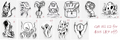 Medium Stickers